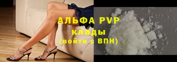 индика Янаул