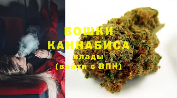дмт Аркадак